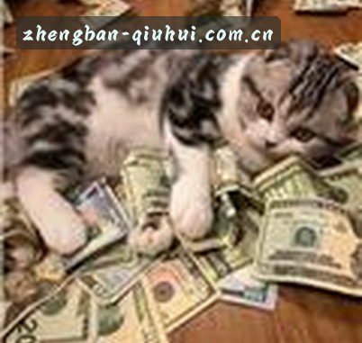 黄磊
