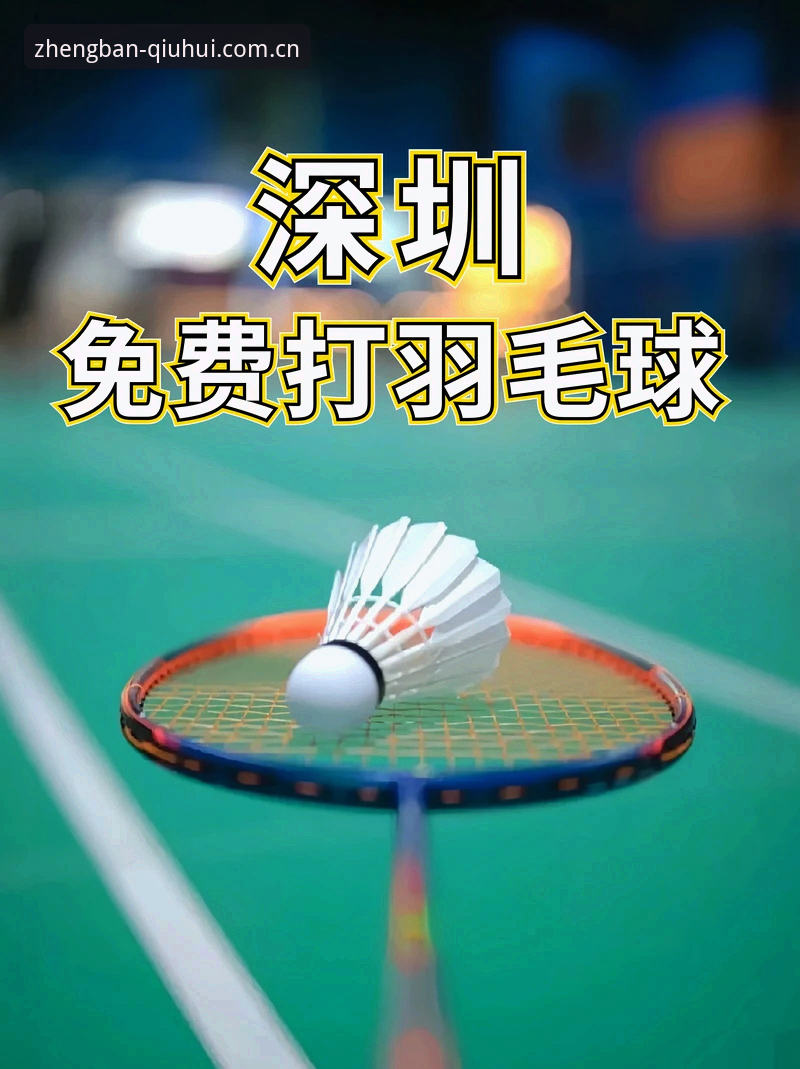 球会体育安卓版安装完整指南：从下载到使用的一站式攻略